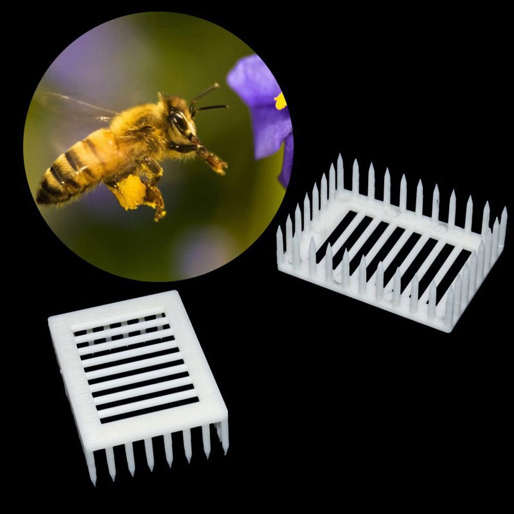 5 Plastic Queen Marker Cage Clip Bee Catcher Beekeeper Beekeeping Tool Equipment