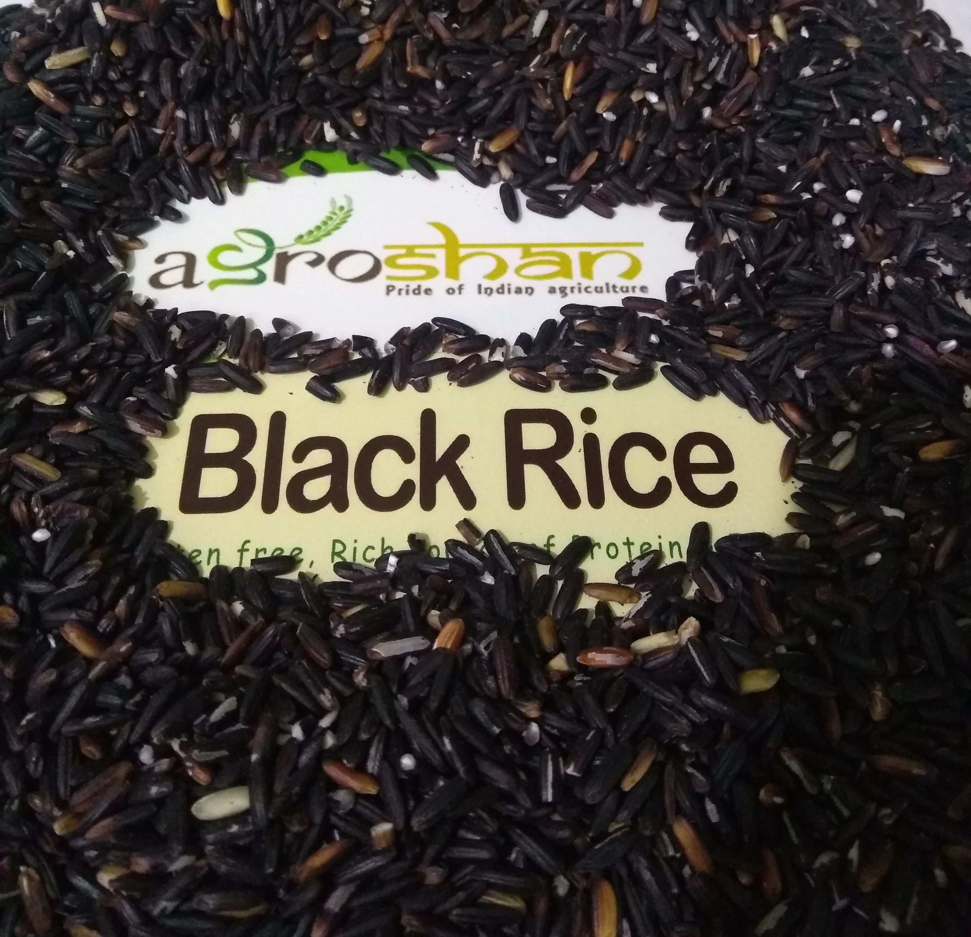 AgroShan Raw Manipuri Organic Black Rice 960 gm Buy AgroShan Raw