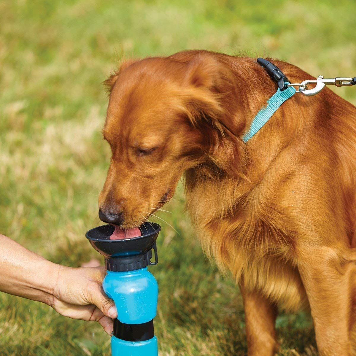 Outdoor Portable Dog Water Bottle/Drinking Cup for Pets (Blue, 500 ml) Buy Outdoor Portable Dog
