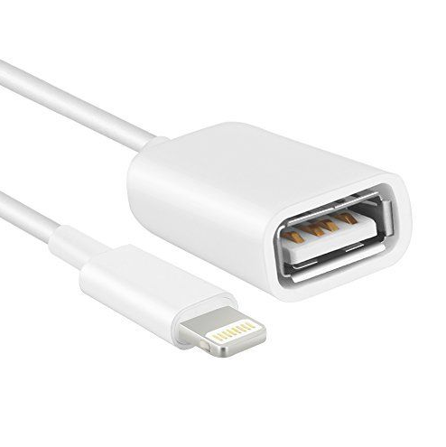 8 Pin Male To USB Female OTG Adapter Lightning Cable For iPhone - Buy 8 Pin  Male To USB Female OTG Adapter Lightning Cable For iPhone Online at Low  Price in India - Snapdeal