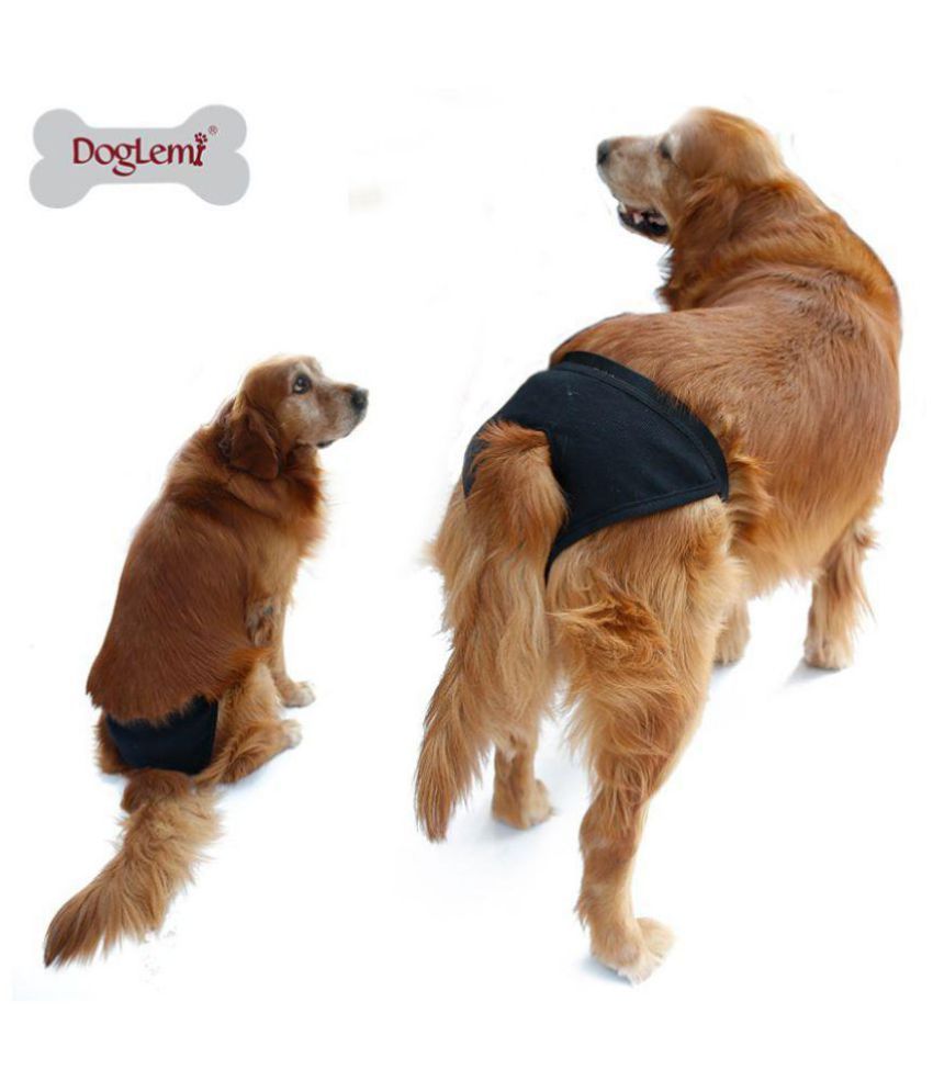 protective pants for dogs