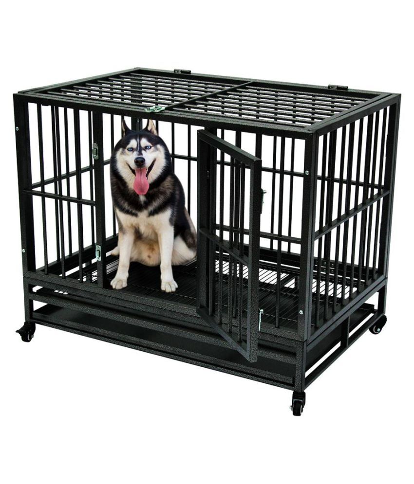 dog cage iron