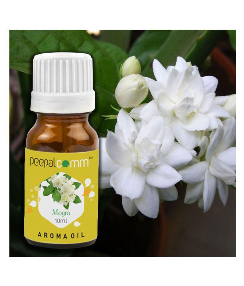 Glass Aroma Oils Pack of 6 Buy Glass Aroma