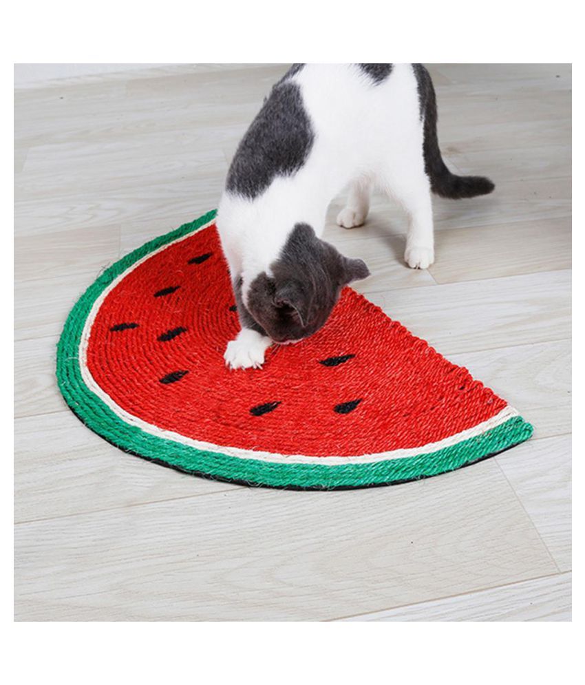 cat scratch resistant carpet