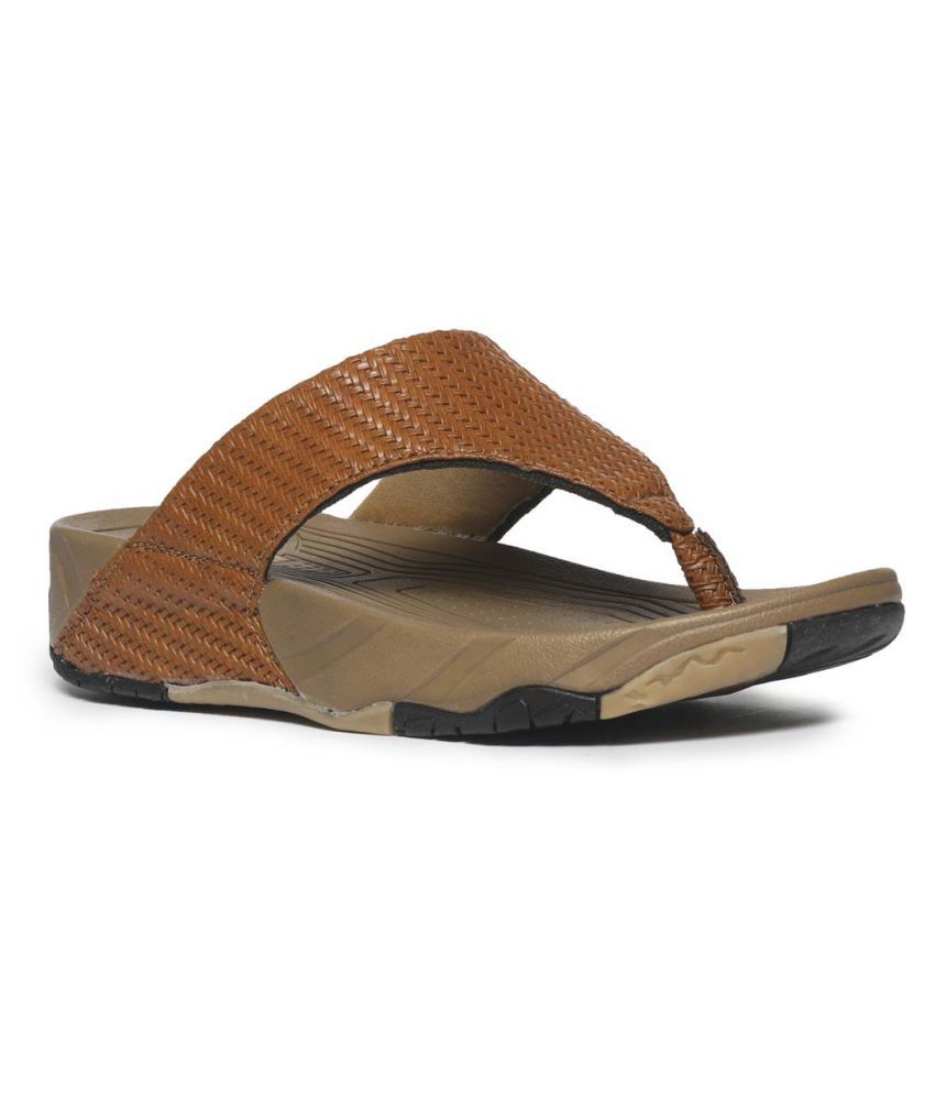 paragon solea plus