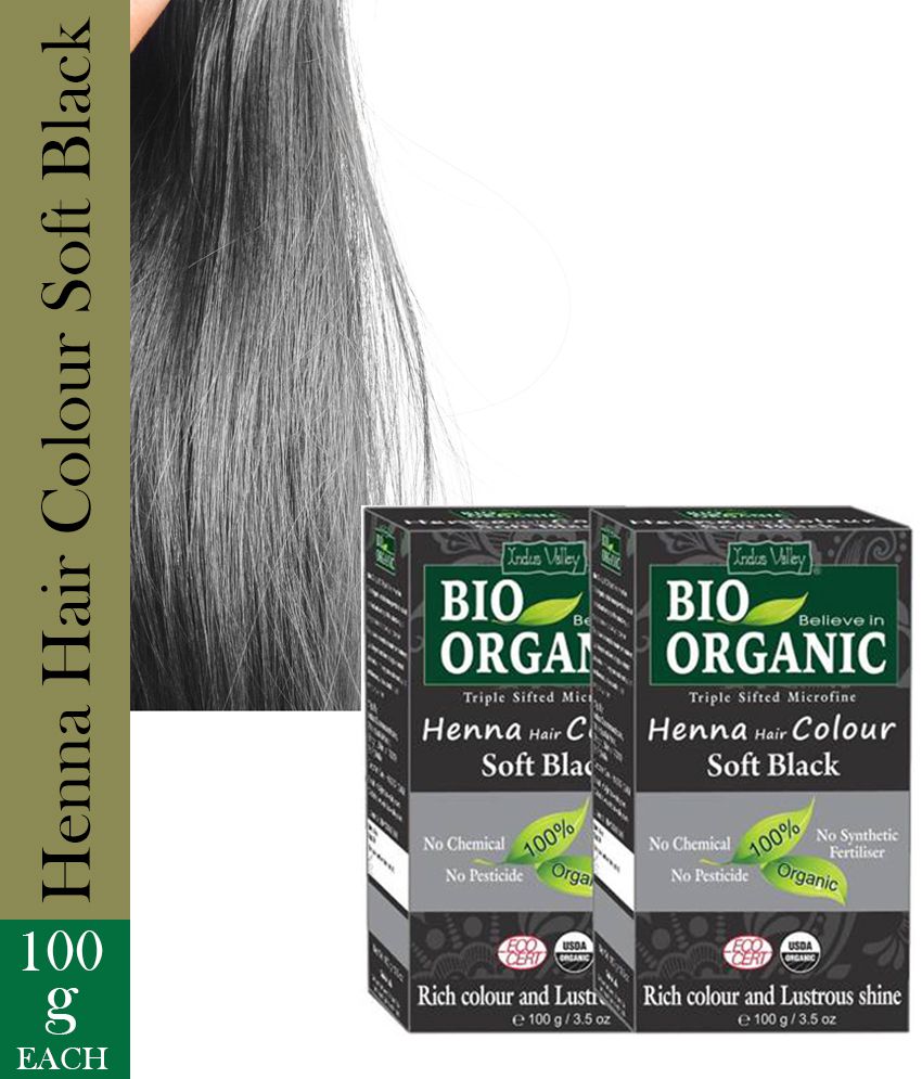 Buy Indus Valley BIO Organic Soft Black Henna Hair Color - Twin Pack , Soft  Black Online at Best Price in India - Snapdeal