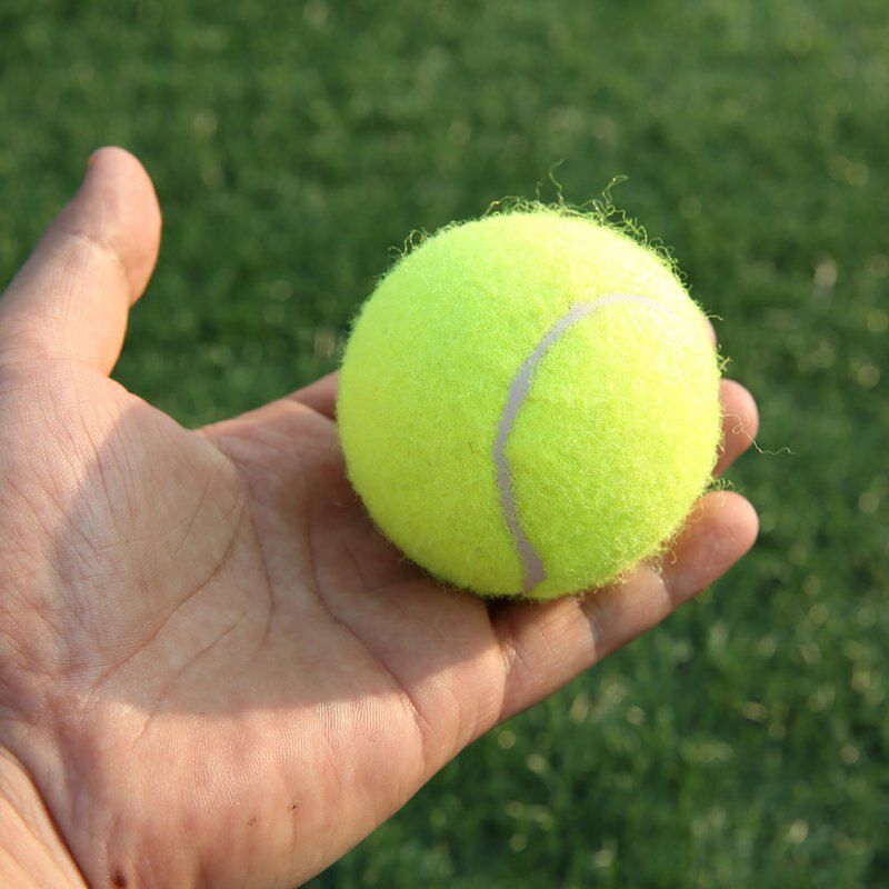 Tennis Balls Sports Tournament Outdoor Fun Cricket Beach Dog 