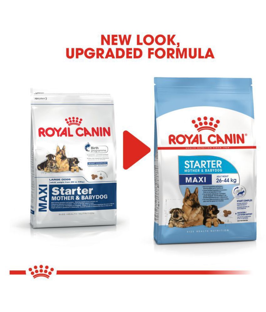 royal canin maxi starter 1 kg price