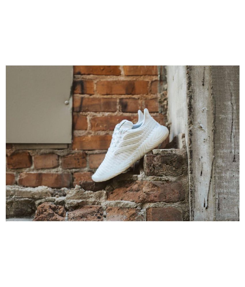 adidas sobakov white price