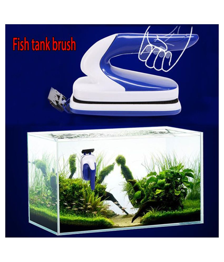 88 Aquarium Design Glass Thickness Terbaru