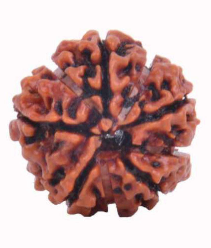     			Green spiritual Energized & Natural 9 (Ninet) Faced/ 9 Mukhi Rudraksha – Tested & Certified Rudraksha Seed Beads Wood Pendant