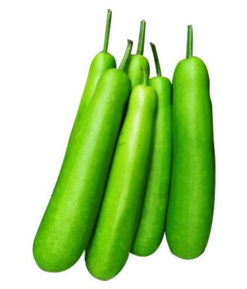 bottle-gourd-loki-ghiya-vegetables-super-seeds-pack-of-30-seeds