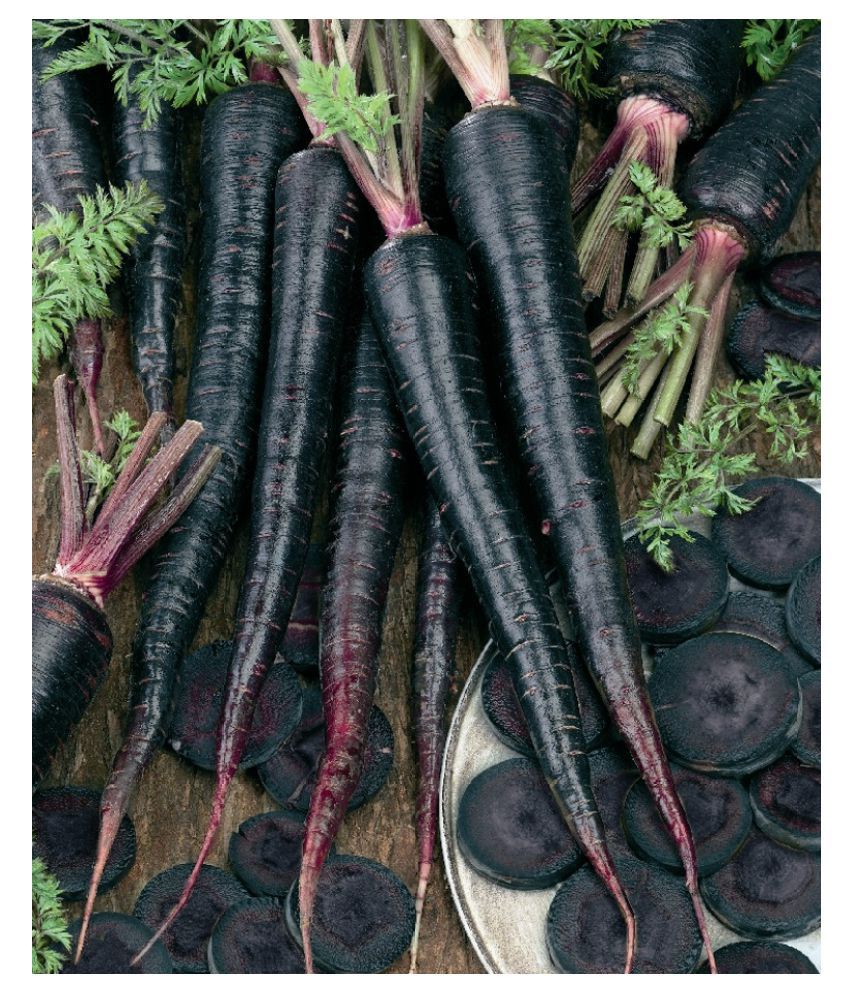     			Black Carrot Vegetables Super Quality Seeds - Pack of 100 Seeds Premium Quality