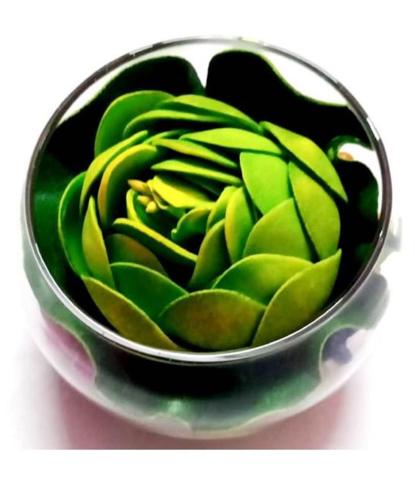     			Green plant indoor Lotus Green Floating Flowers - Pack of 1