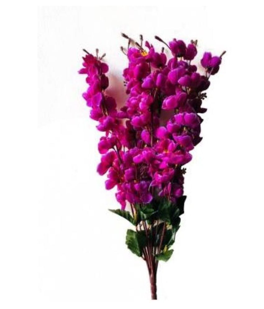     			Green plant indoor Orchids Purple Artificial Flowers Bunch - Pack of 1