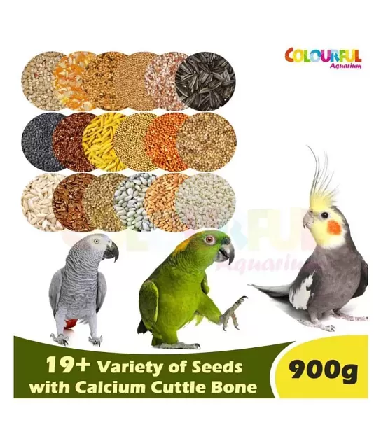 Drools Bird Food for Budgies, 1kg: Buy Drools Bird Food for Budgies, 1kg  Online at Low Price - Snapdeal