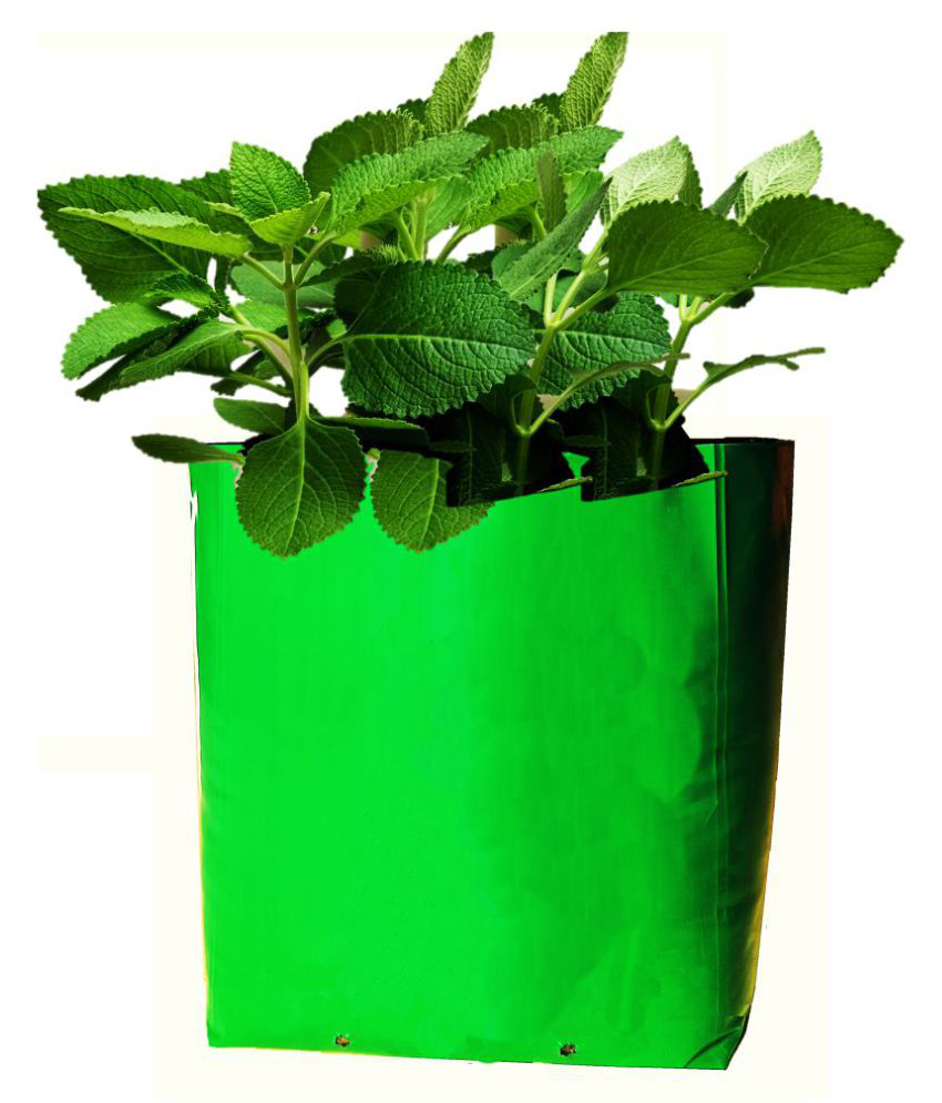 Grow Bag for terrace gardening Size:40x24x24cm {Pack of 10 Bags}: Buy Grow Bag for terrace ...