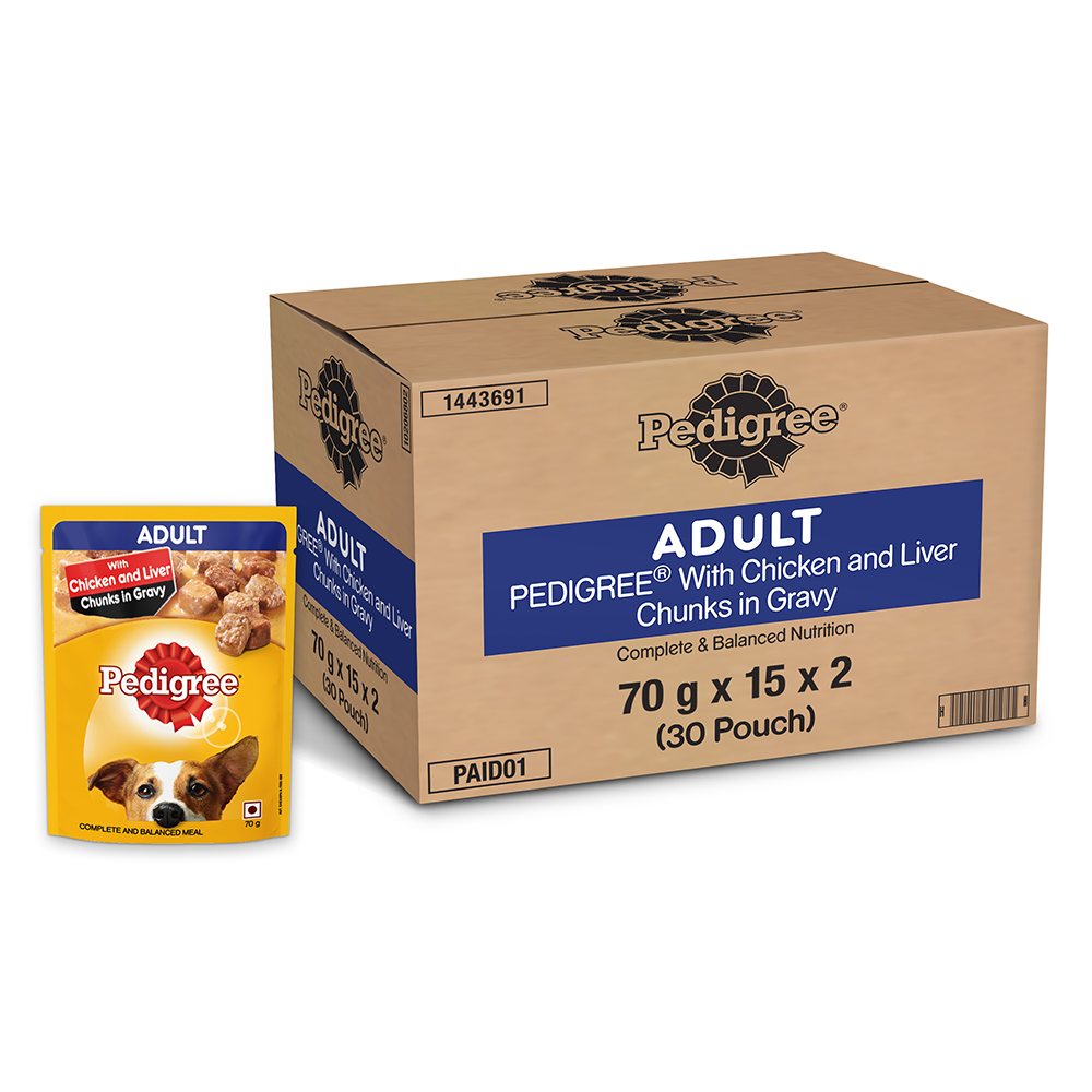 pedigree gravy adult