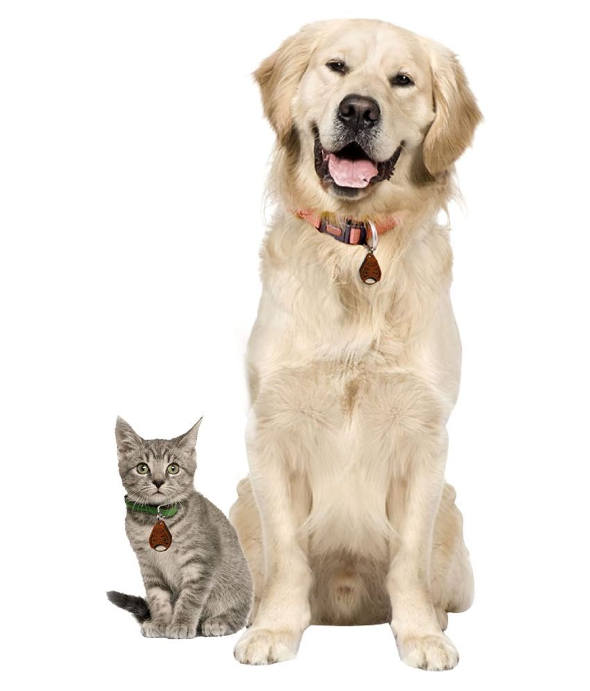 tickless ultrasonic tick and flea repeller