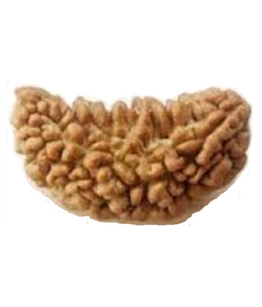     			Lucknow Pujan Store Rudraksha Pack of 1