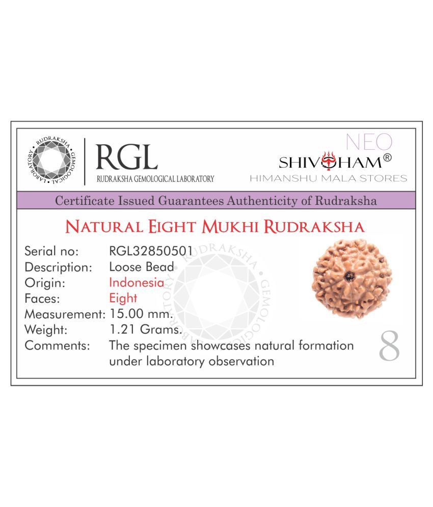     			SHIVOHAM 8 Mukhi Lab Certified Rudraksha (Origin Java) Good Shape & Matured Bead (Size 15-18mm)