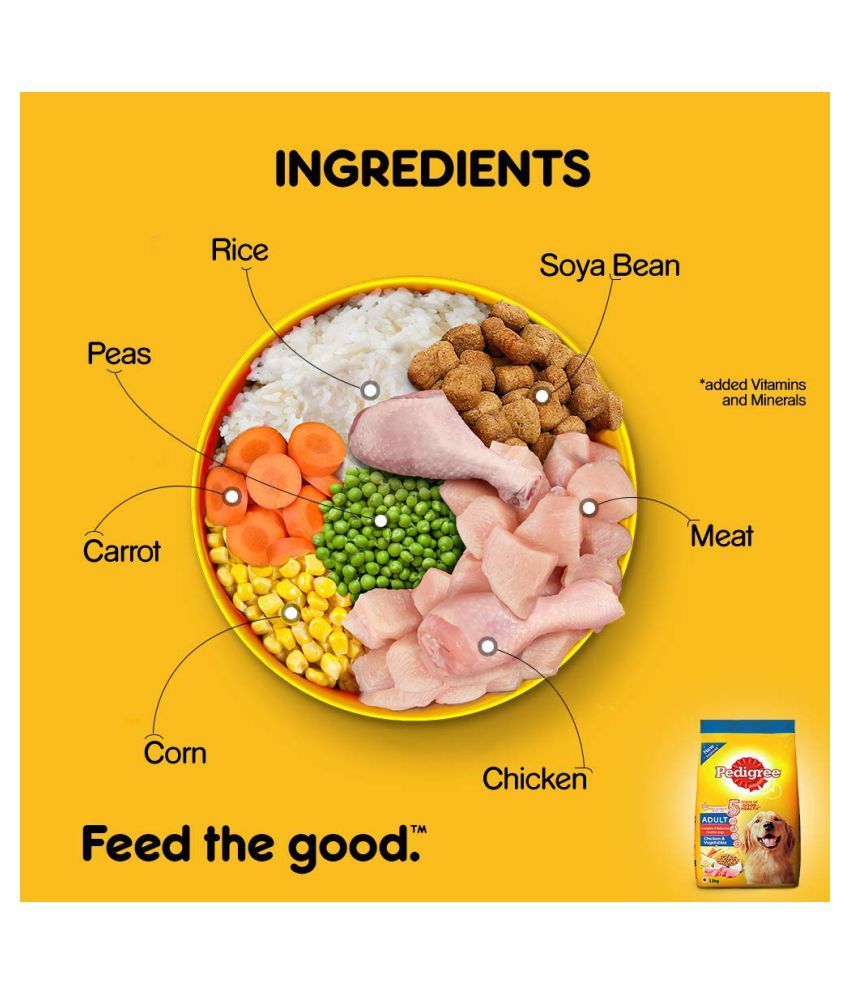 Pedigree Adult Chicken and Vegetables Complete Balanced Food For Dogs, 1.2 g Buy Pedigree Adult