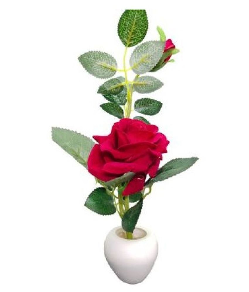     			Green plant indoor Rose Red Flowers With Pot - Pack of 1