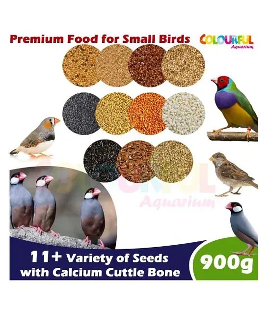 Bird Supplies Buy Bird Supplies Online at Best Prices in India