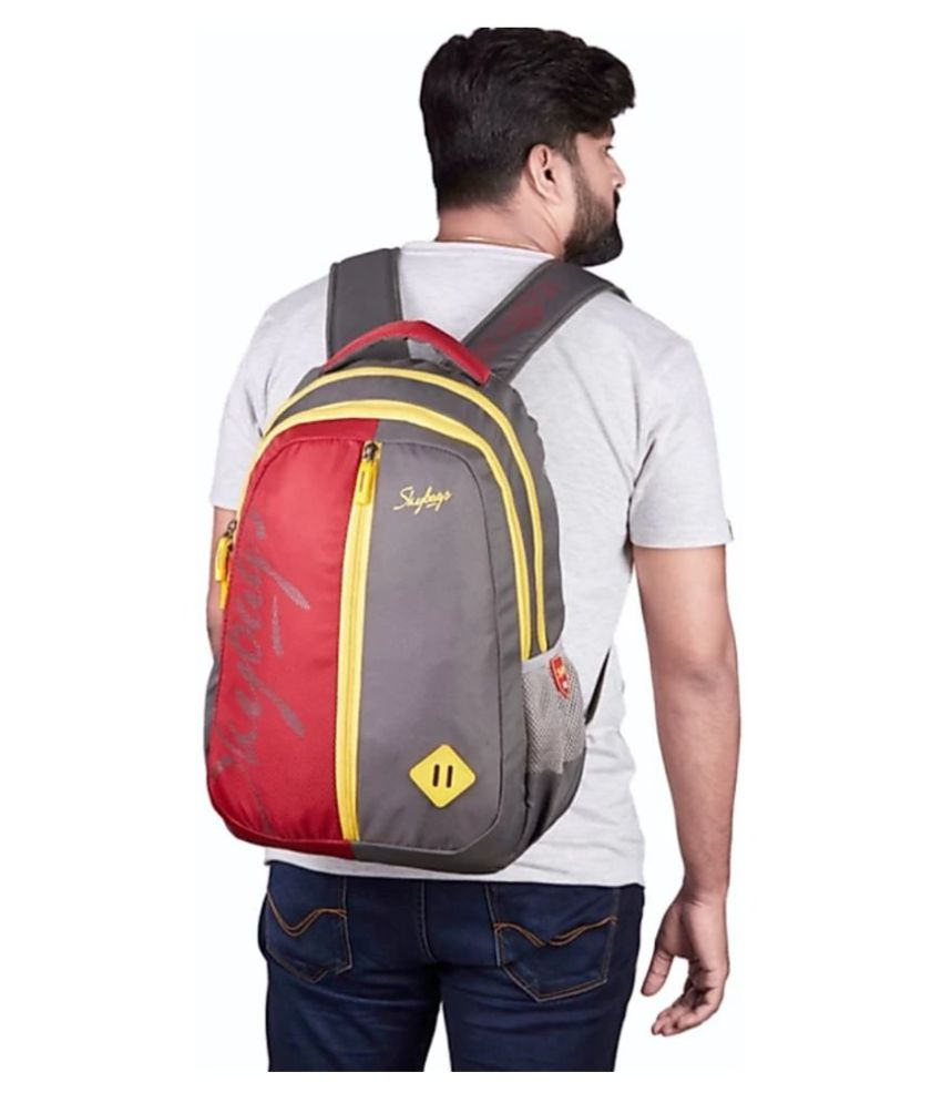 Skybags Leo 6 Grey Waterproof Backpack Buy Skybags Leo 6 Grey