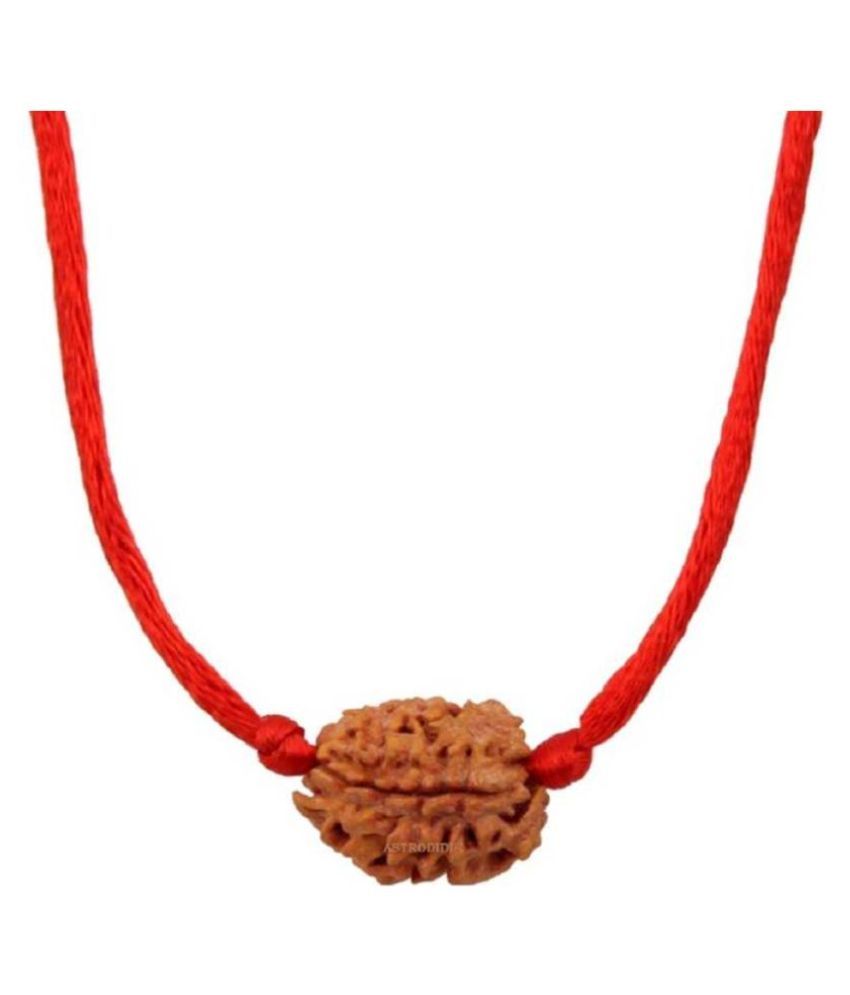     			Astrodidi 3 Mukhi Rudraksha With Lab Certificate