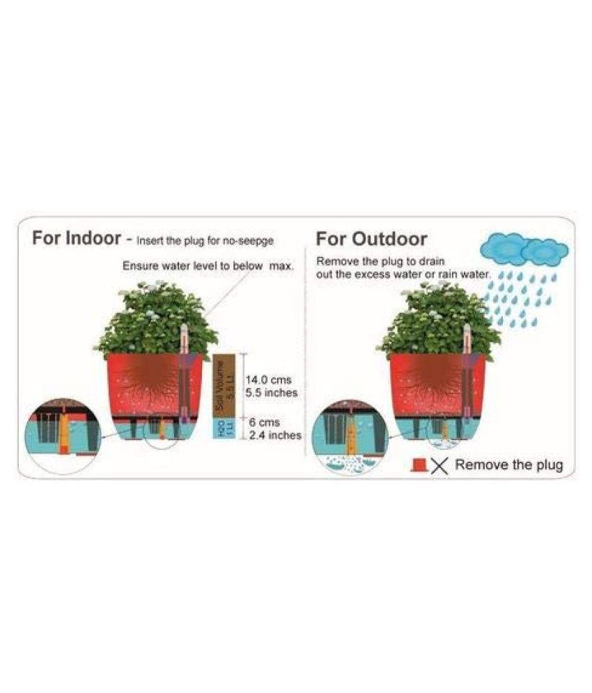 My Green Thumb Self watering Both Decorative Pots Buy My Green Thumb