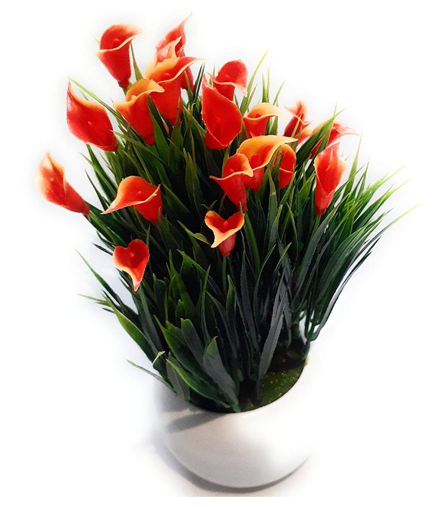     			Green plant indoor Wild Flower Orange Flowers With Pot - Pack of 1