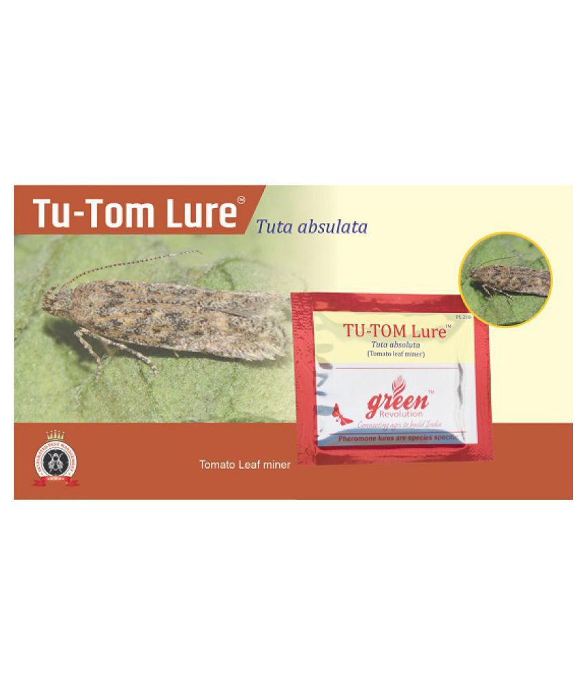     			Tu-Tom Pheromone Lure (Tuta absoluta) for tomato leaf miner pheromone trap pack of 10 only lures