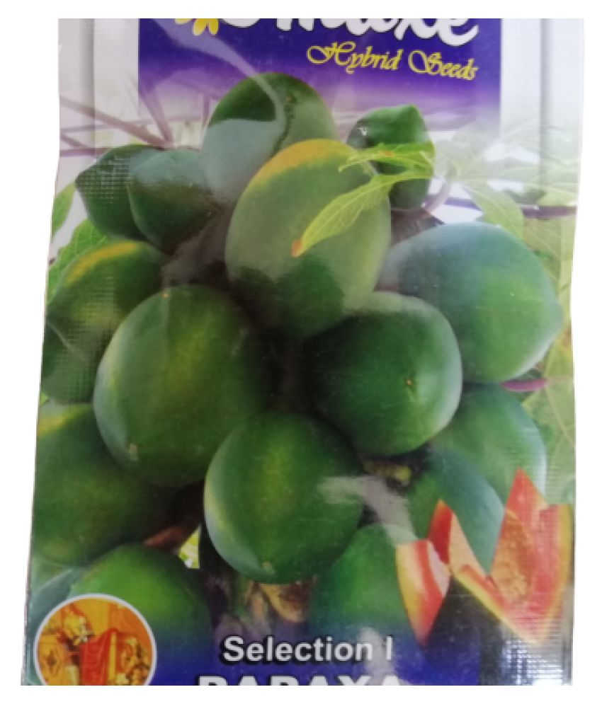 papaya seeds in hindi