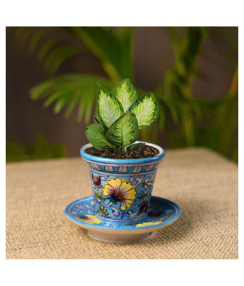 Unravel India  Both Flower  Pot  Buy Unravel India  Both 