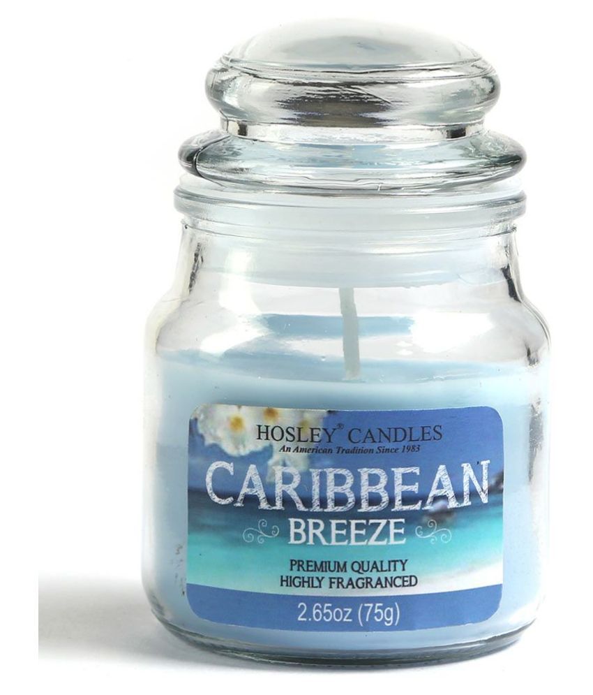     			Hosley Blue Jar Candle - Pack of 1