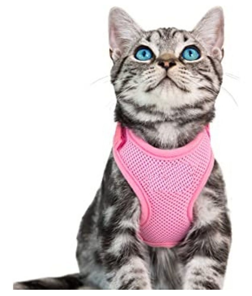 Cat-Kitten Body Harness with Lease Size : Large (Size: Neck Size : 34 ...