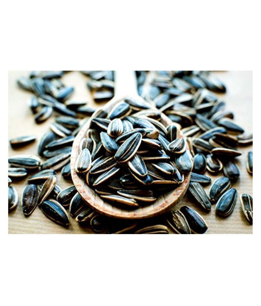 Sunflower Seed for Bird Food Striped 450g Buy Sunflower Seed for Bird