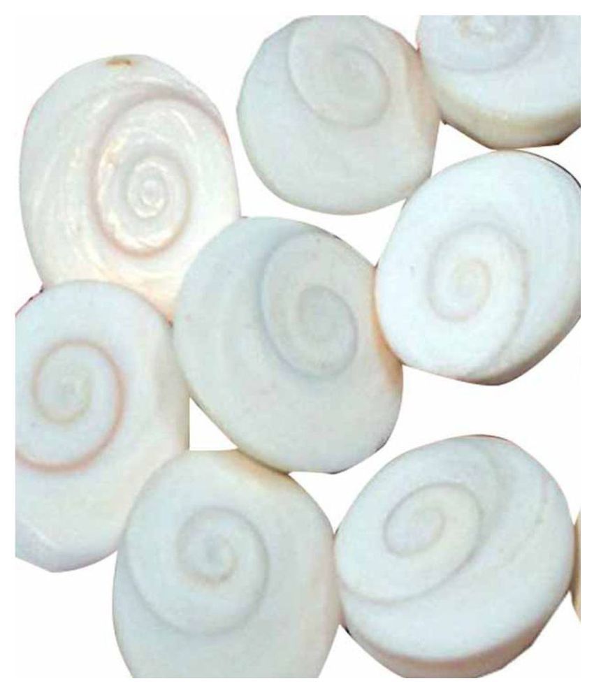     			JSK COLLECTION Natural  Gomati Chakra - 11 Pcs