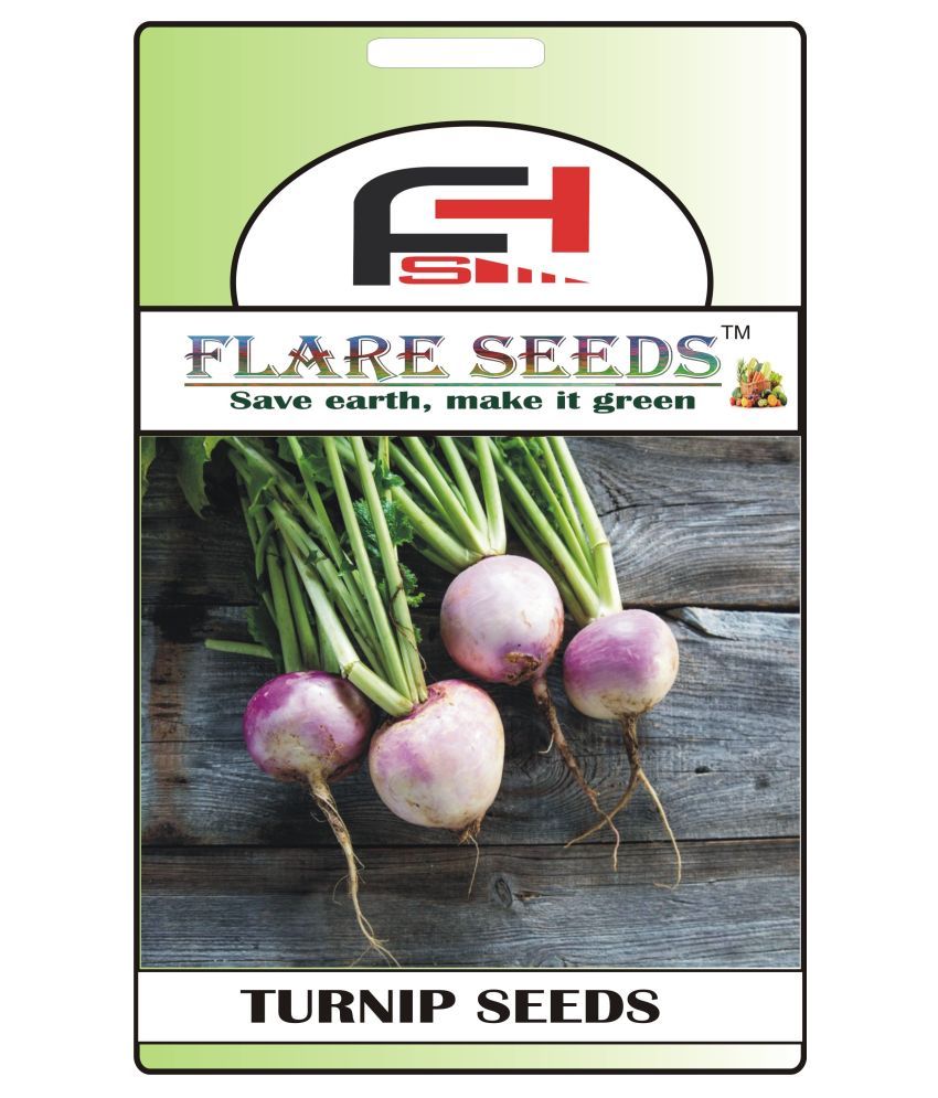 Turnip Seeds 50 Seeds Pack Buy Turnip Seeds 50 Seeds Pack Online