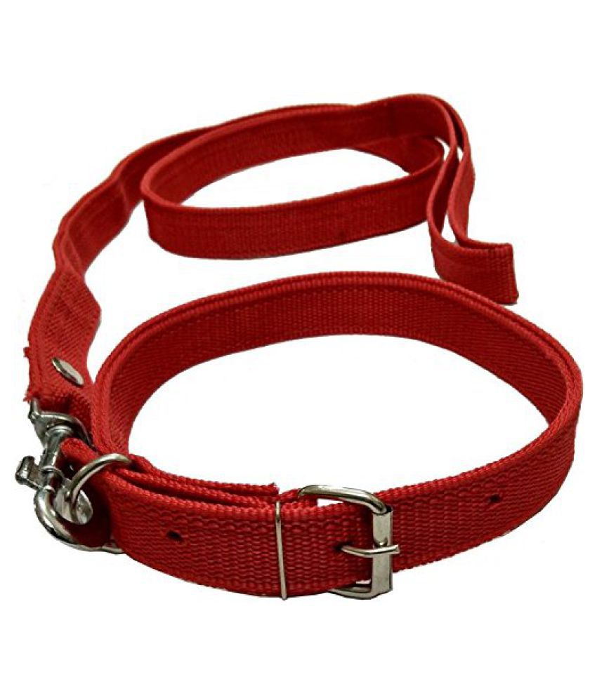     			Smart Doggie Dog Collar Neck & Leash