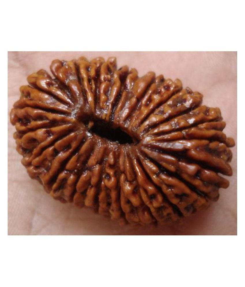 Rare Kind Gems 21 Mukhi 21 Faced Original Nepal Rudraksha By Lab Certified Buy Rare Kind Gems 21 Mukhi 21 Faced Original Nepal Rudraksha By Lab Certified At Best Price In India On Snapdeal The one mukhi rudraksha is the symbol of godhood, supreme truth and one mukhi half moon is easily available and found in a family tree of rudraksha from sri lanka and india. snapdeal