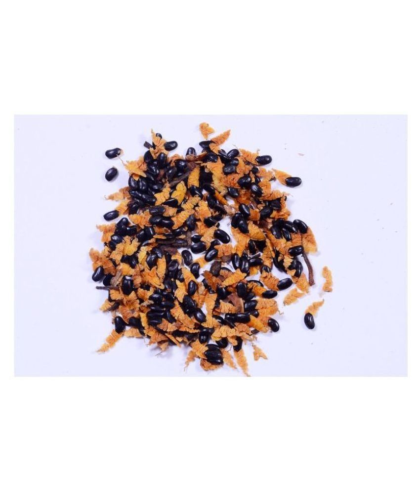 Forest Development Australian Teak Seeds (Acacia mangium Tree Seed