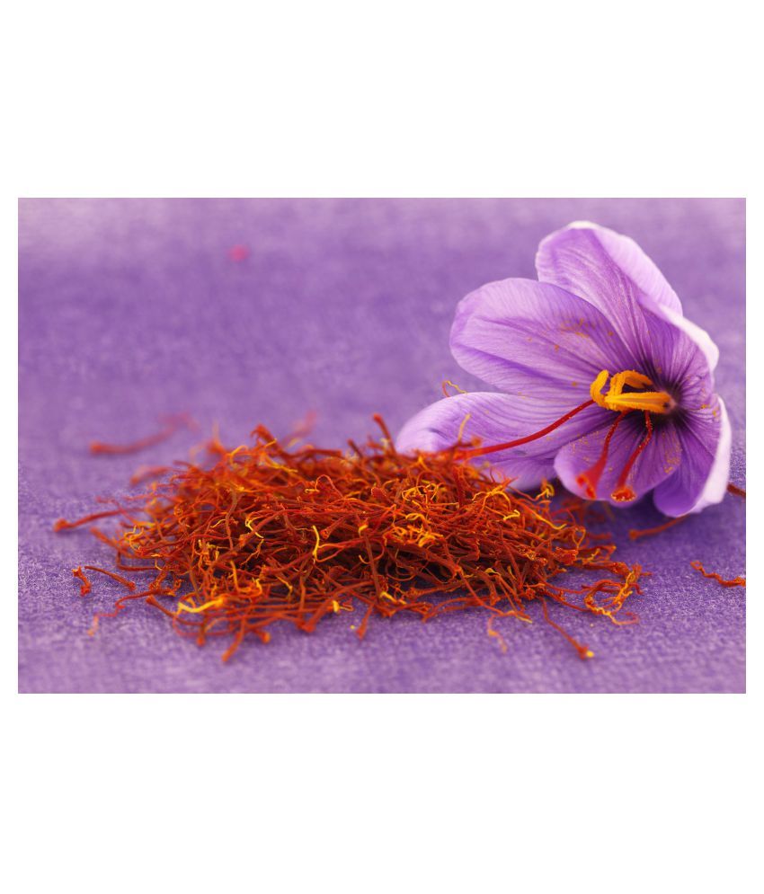 GREEN WORLD KASHMIRI SAFFRON BULB / KESAR / ZAFRAN / CROCUS CORM (5