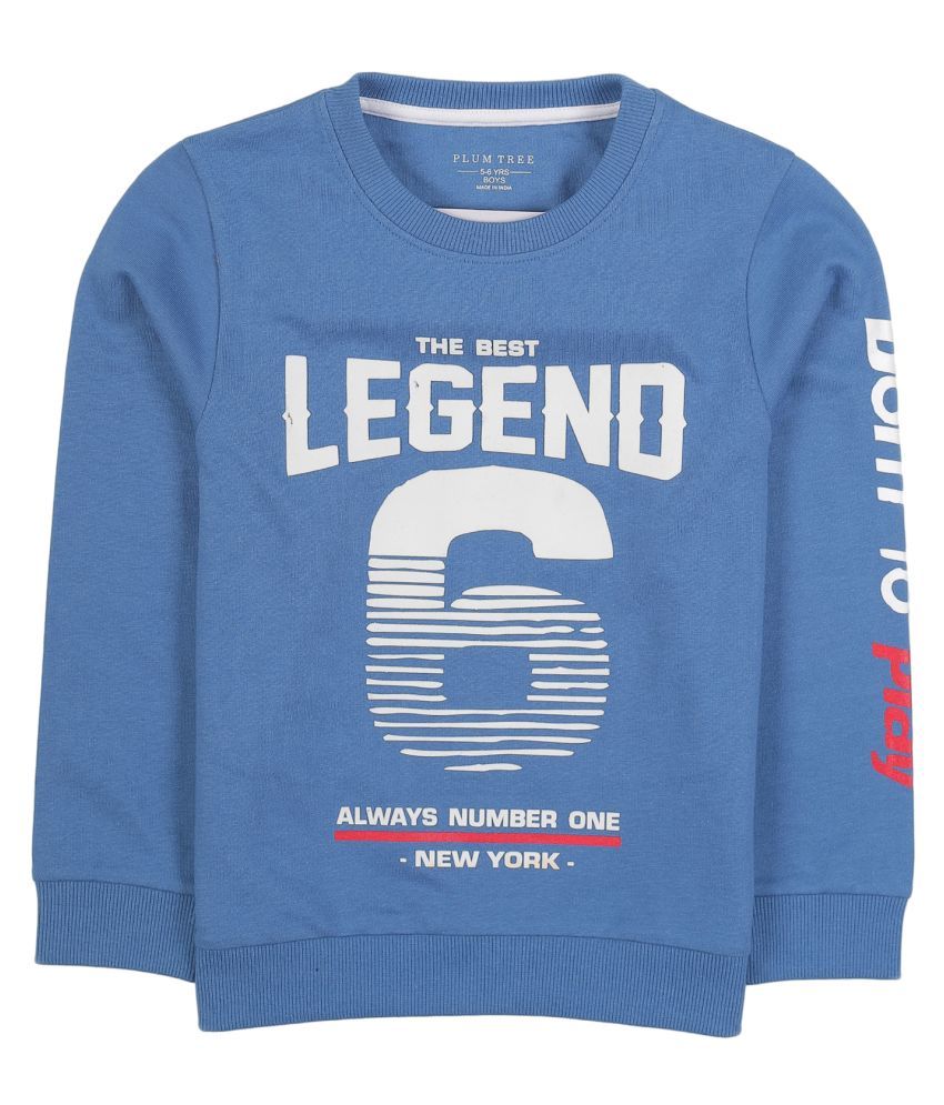     			PLUM TREE BOYS PULLOVER SWEATSHIRT-BLUE