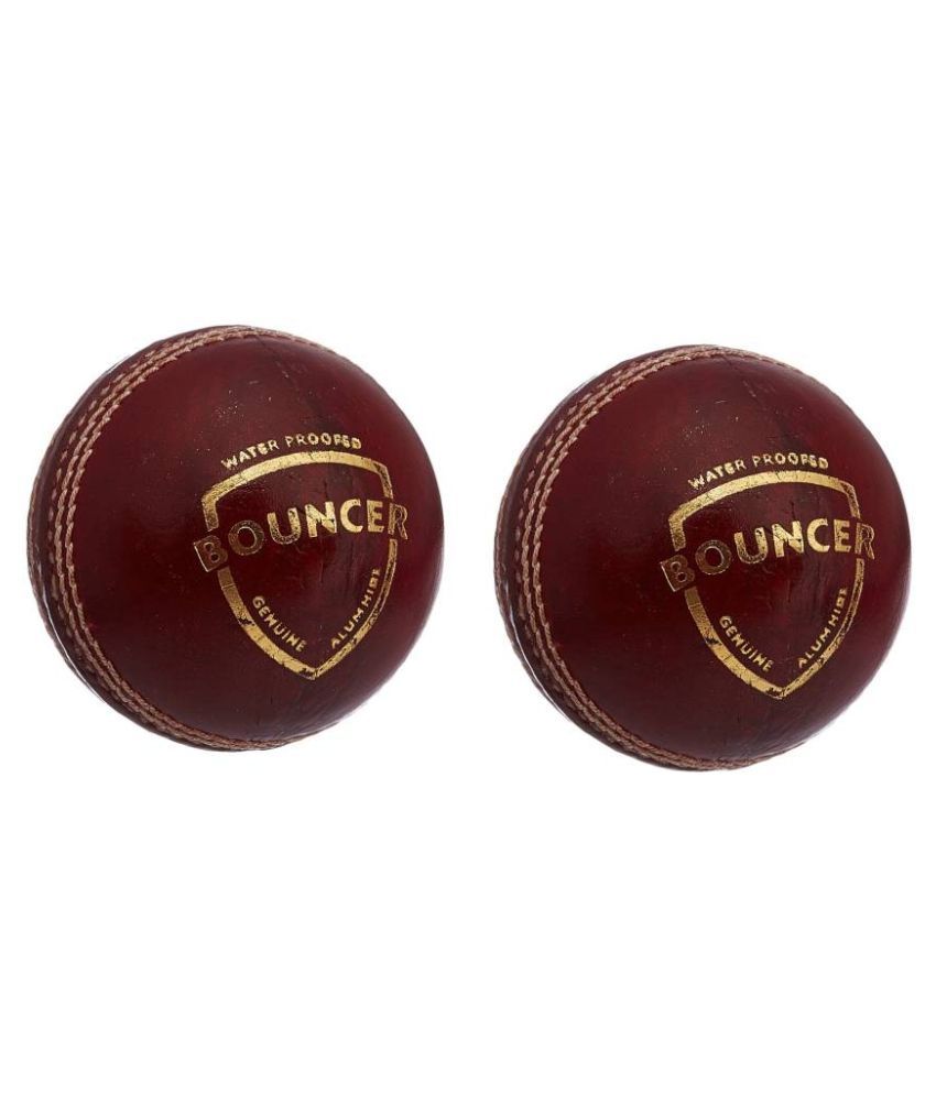 SG Bouncer Cricket Leather Ball (Pack of 2) Buy Online at Best Price