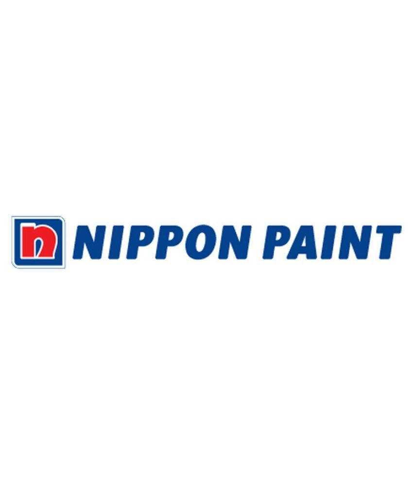 Nippon Paint Car Exterior Cleaning
