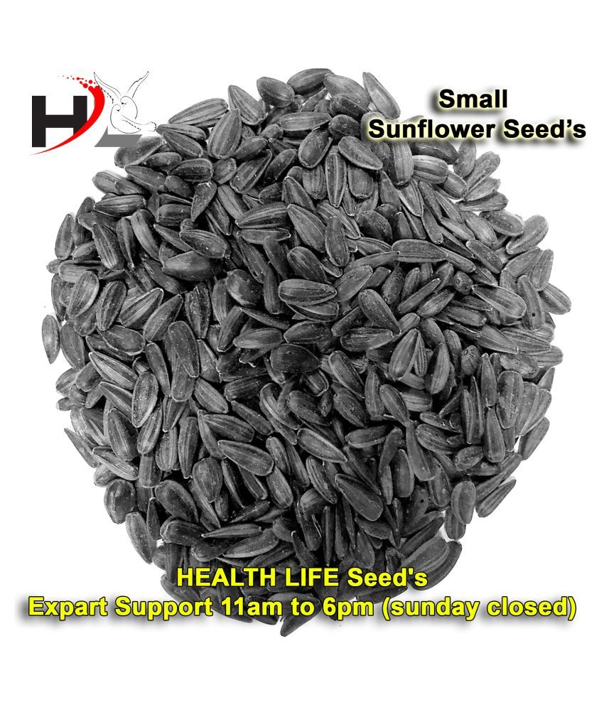 HL Small Sunflower Seed / 100 Working Buy HL Small
