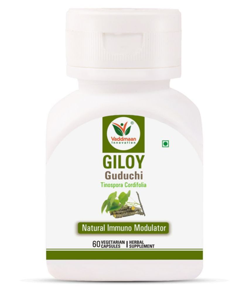     			Vaddmaan Giloy (Pure bitter extract) Vegetarian Capsules - Immune Health & Well-Being (Pack of 1) Guduchi, Tinospora Cordifolia