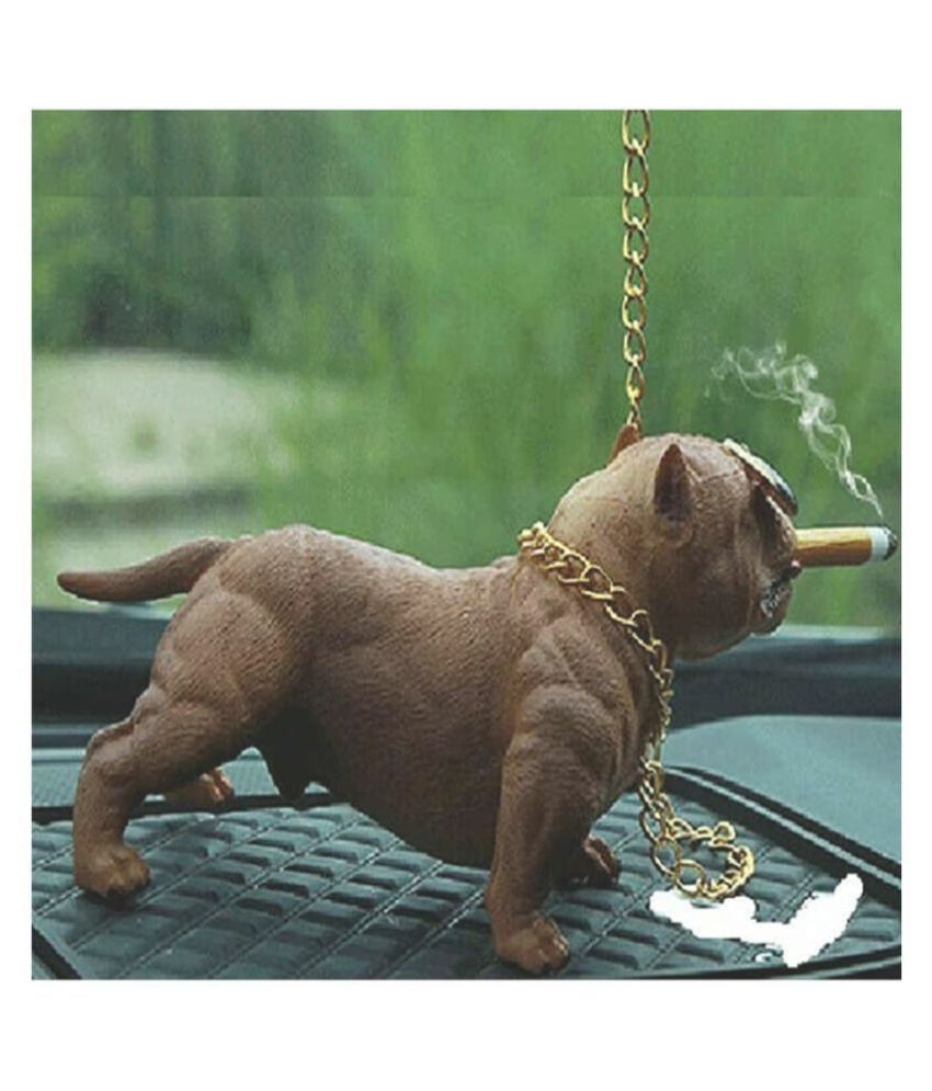pitbull smoker